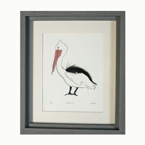 Pelican Feather Print - Framed