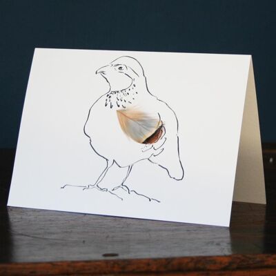 Woodcock & Partridge Cards - Miss Partridge