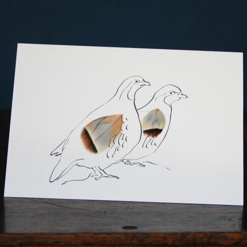 Woodcock & Partridge Cards - Partridge Pair