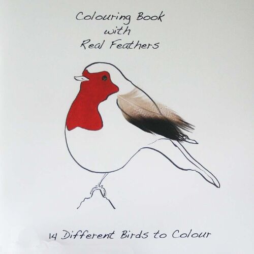 Colouring Book with Feathers - Robin Cover