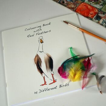 Livre de coloriage avec des plumes - Robin Cover 2