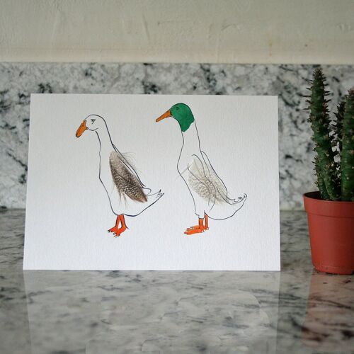 Duck Wedding Cards - Runner Duck pair