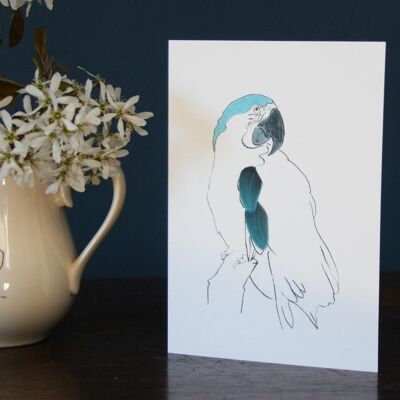 Parrot Cards - Macaw - printed feathers