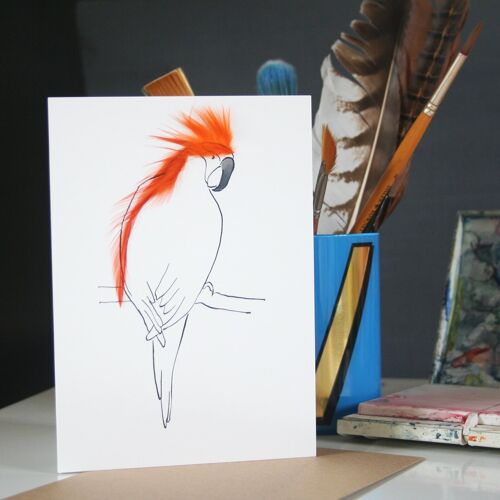 Parrot Cards - Orange