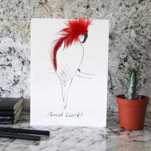 Good Luck Cards - Red Parrot Good luck