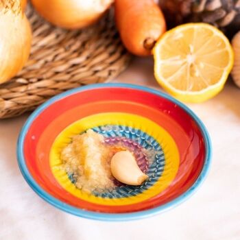 Assiette en céramique râpe à fromage et nourriture / Multicolore - Iris 2