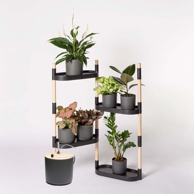Self-watering shelf for plants