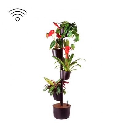 Jardinière verticale avec arrosage automatique Wi-Fi