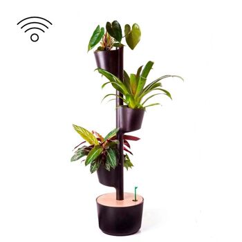 Jardinière verticale avec arrosage automatique Wi-Fi 2