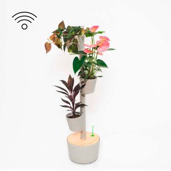 Jardinière verticale avec arrosage automatique Wi-Fi 5