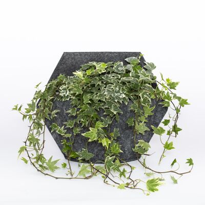 Wandpflanzgefäß mit grauem Stoff