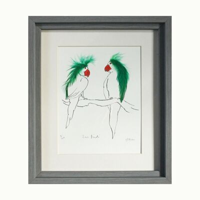 Parakeets Love BIrds Print - Framed