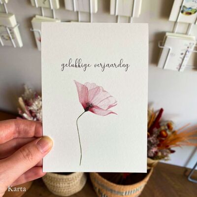 Greeting card - pink poppy