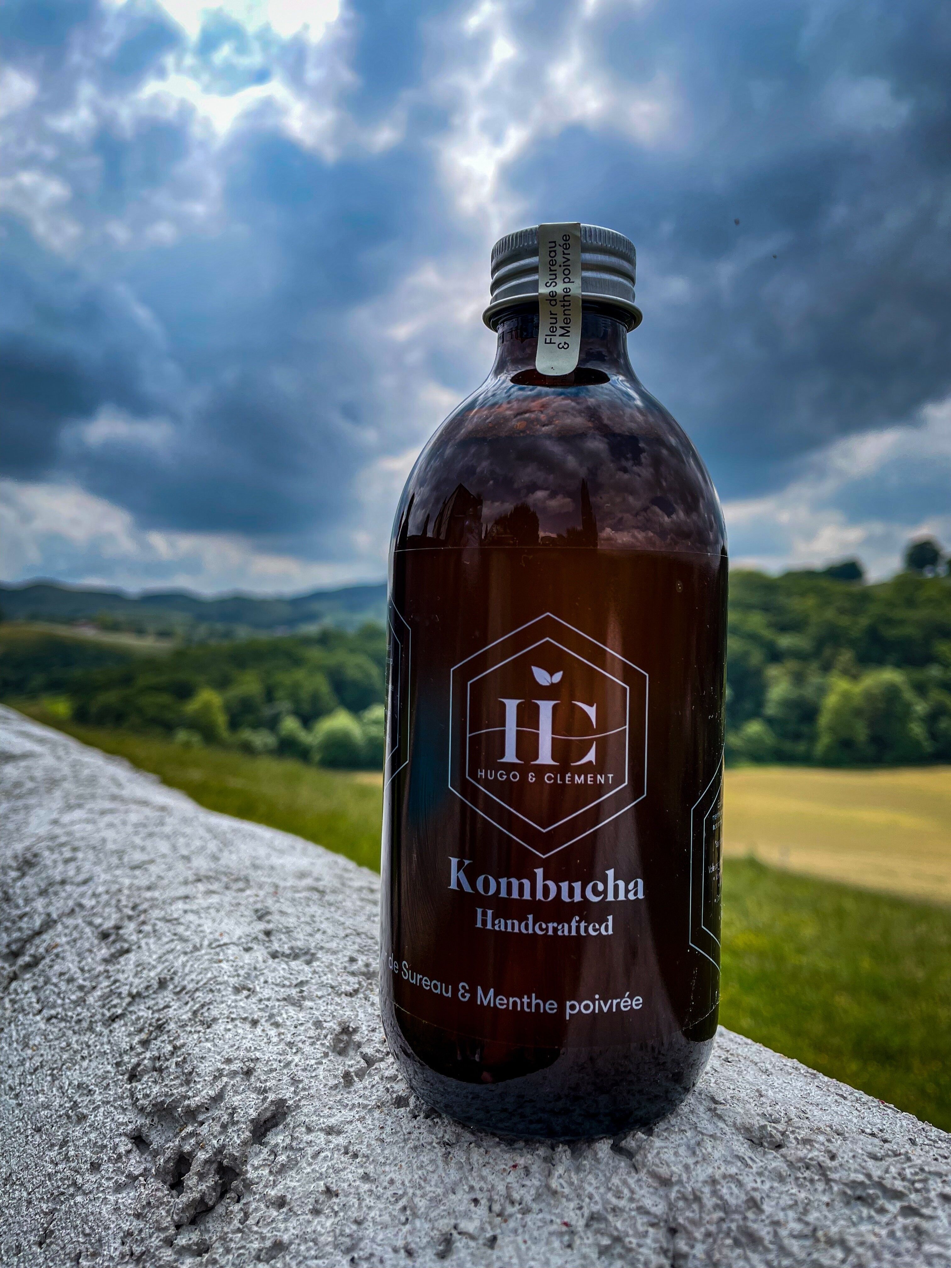 Kombucha fleur de sureau & menthe poivrée