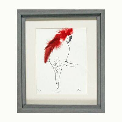 Parrot Print - Framed - Red