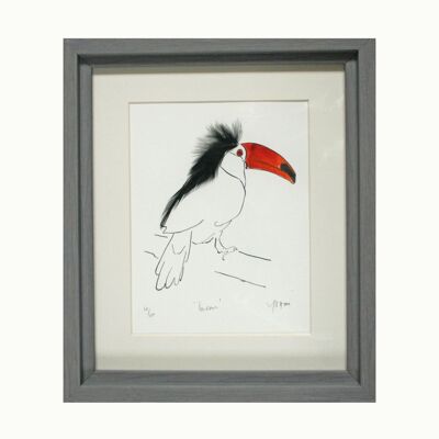 Toucan Print - Framed