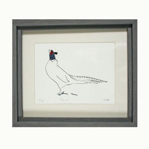 Coo-ee Pheasant Print - Framed