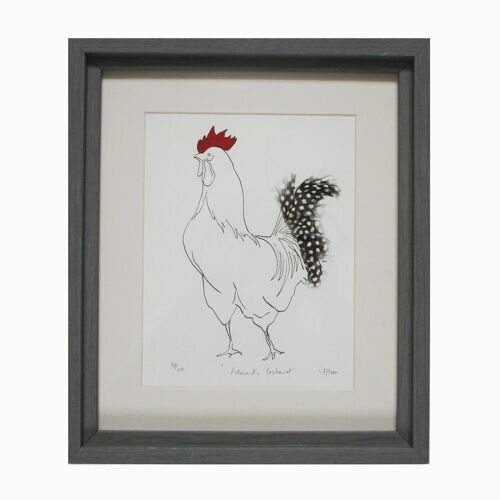 Edward Cockerel Spotty Feathered Print - Framed