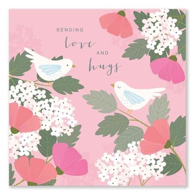 Carta di condoglianze / Invio di amore e abbracci Uccelli