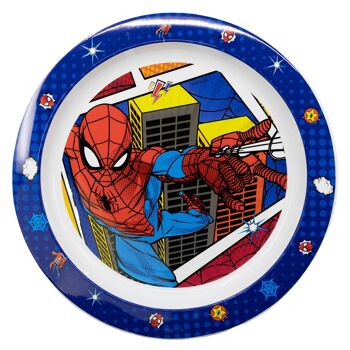 STOR PLAQUE MICRO SPIDERMAN MINUIT FLYER