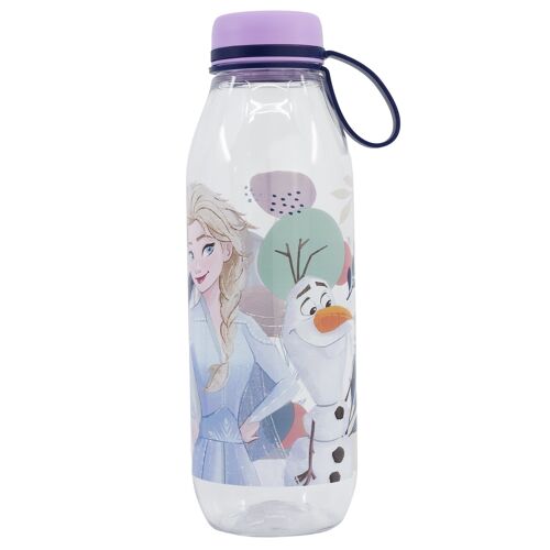 STOR BOTELLA AVENTURA ECOZEN 650 ML FROZEN TRUST THE JOURNEY