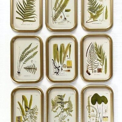 BOTANISCHES MDF-GLASBILD 30X2X45 9 SORTIMENTE. CU207788