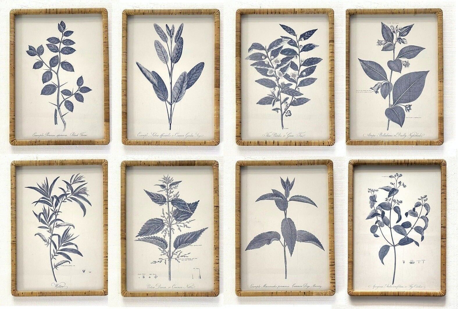 QUADRO VETRO RATTAN 50X2,5X70 BOTANICO 8 ASSORTIMENTI. CU207790