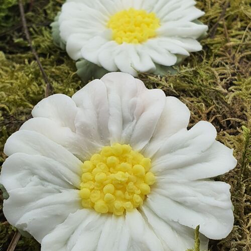 Fondant ou Bougie marguerite