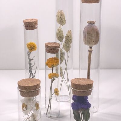 Conjunto de diferentes tamaños de tubos de flores secas