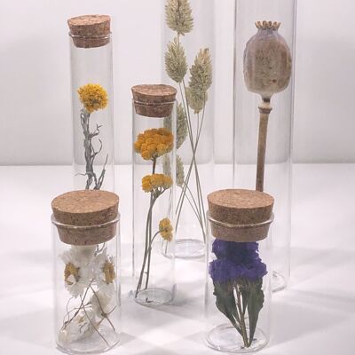 Conjunto de diferentes tamaños de tubos de flores secas