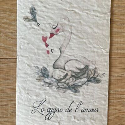 Carta plantable – El cisne del amor