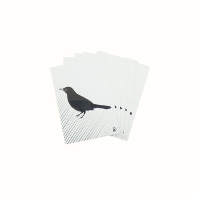 HV Postkarte Amsel - A6