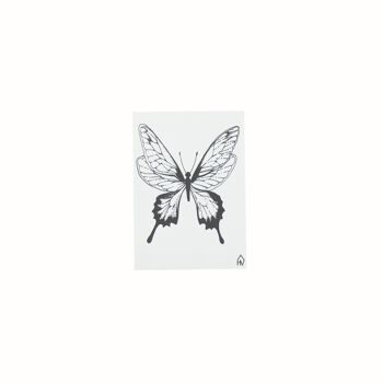 Carte Postale HV Papillon - A6 2