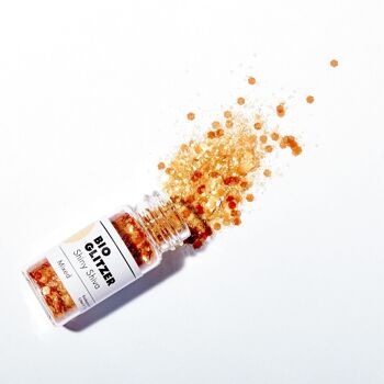 PAILLETTES BIOLOGIQUES | SHIVA BRILLANT | 5 GRAMMES 1