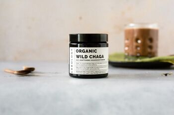 Poudre de Champignon Chaga Sauvage Biologique 2