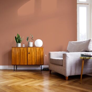 Soft Terracotta Premium Durable Paint 'Baked' - 1L Soft Sheen 8