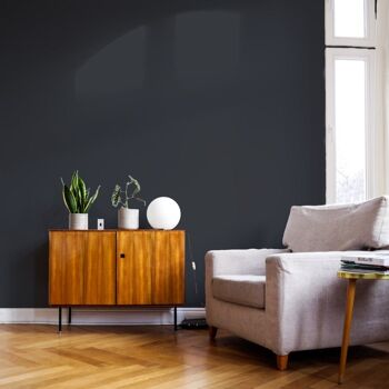 Charcoal Black Premium Durable Paint 'David Rose' - 1L Flat Matt 7
