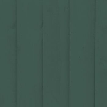 Timeless Dark Green Premium Durable Paint 'Ditch the Tie' - 1L Exterior 2