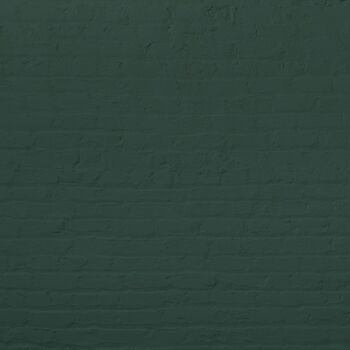 Timeless Dark Green Premium Durable Paint 'Ditch the Tie' - 1L Exterior 4