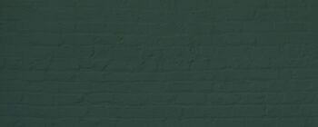 Timeless Dark Green Premium Durable Paint 'Ditch the Tie' - 1L Exterior 9