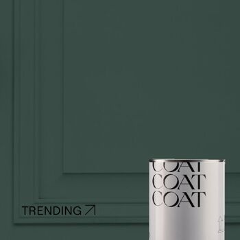 Timeless Dark Green Premium Durable Paint 'Ditch the Tie' - 2.5L Eggshell 8