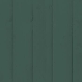 Timeless Dark Green Premium Durable Paint 'Ditch the Tie' - 2.5L Exterior 2