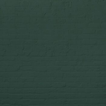 Timeless Dark Green Premium Durable Paint 'Ditch the Tie' - 2.5L Exterior 4