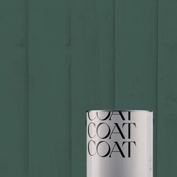 Timeless Dark Green Premium Durable Paint 'Ditch the Tie' - 2.5L Exterior 7