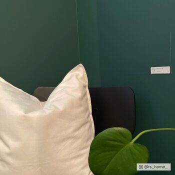 Timeless Dark Green Premium Durable Paint 'Ditch the Tie' - 2.5L Soft Sheen 8