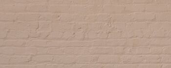 Dry Plaster Pink Premium Durable Paint 'Factor Fifty' - 2.5L Exterior 8