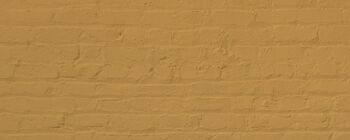 Golden Yellow Premium Durable Paint 'House Points' - 1L Exterior 8