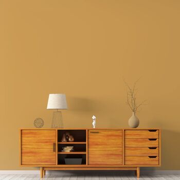 Golden Yellow Premium Durable Paint 'House Points' - 2.5L Flat Matt 7