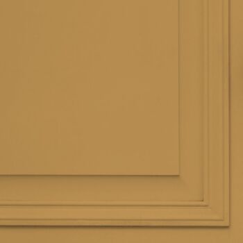Golden Yellow Premium Durable Paint 'House Points' - 5L Soft Sheen 9
