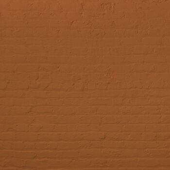 Rich Burnt Orange Premium Durable Paint 'Mezcal' - 2.5L Exterior 4